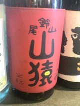 尾鈴山 山猿