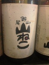 尾鈴山 山ねこ