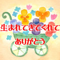 t5-03_Pansy
