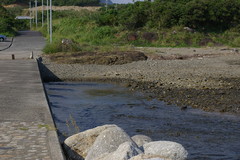 IMGP4124