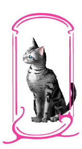 amesho
