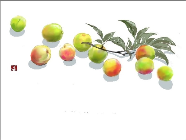 すもも4