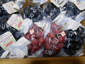 DSCN3290