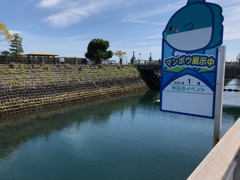鹿児島水族館 いおワールド-21