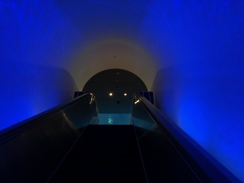 鹿児島水族館 いおワールド-3