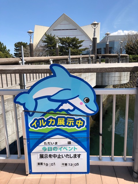 鹿児島水族館 いおワールド-20