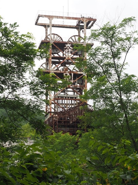 P8110196_R