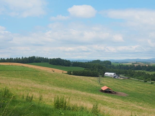 P8100083_R