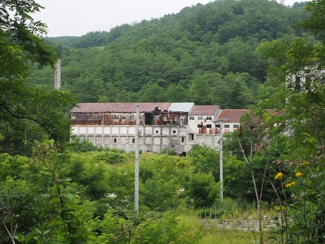 P8110191_R