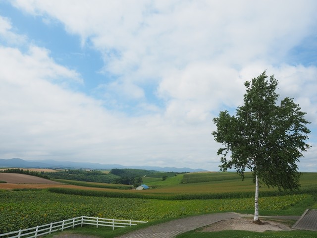 P8100051_R