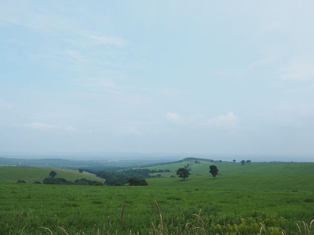 P8060384_R