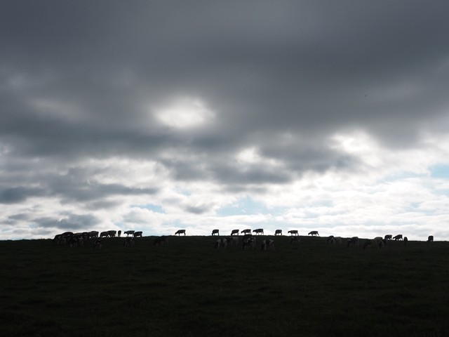P8070628_R
