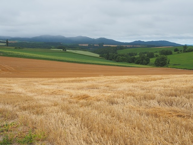P8100839_R