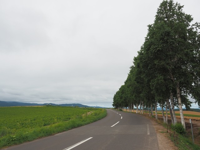 P8100849_R