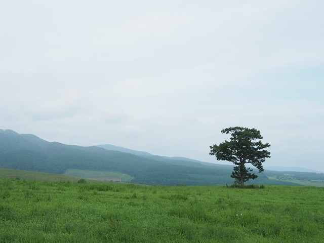 P8060396_R