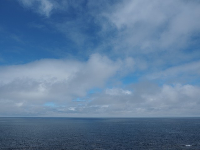 P8070518_R