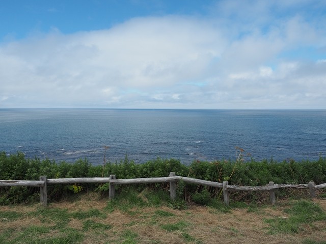 P8070509_R