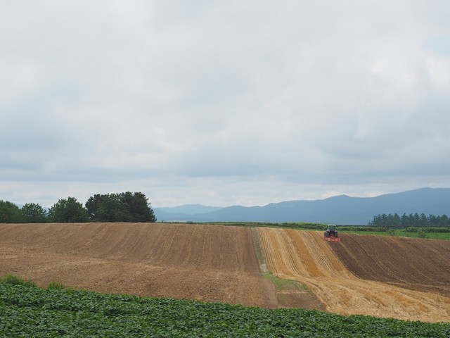 P8100900_R
