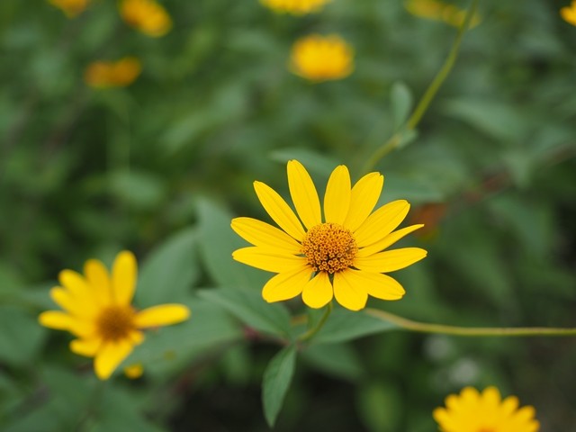 P8110330_R
