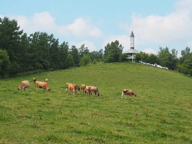 P8100080_R