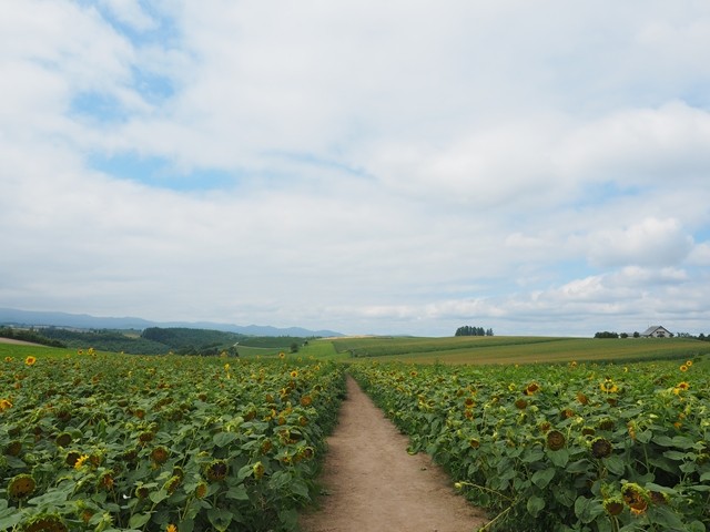 P8100043_R