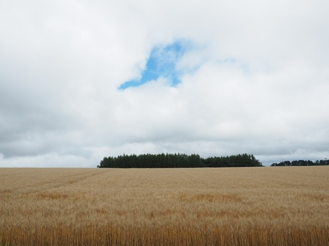 P8070533_R