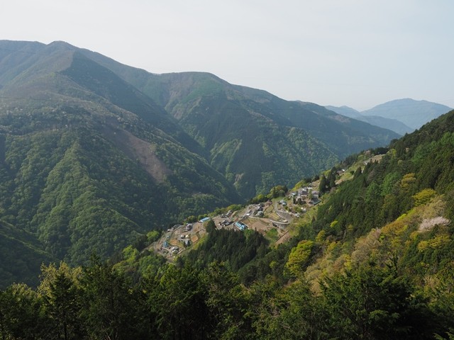 P5020572_R