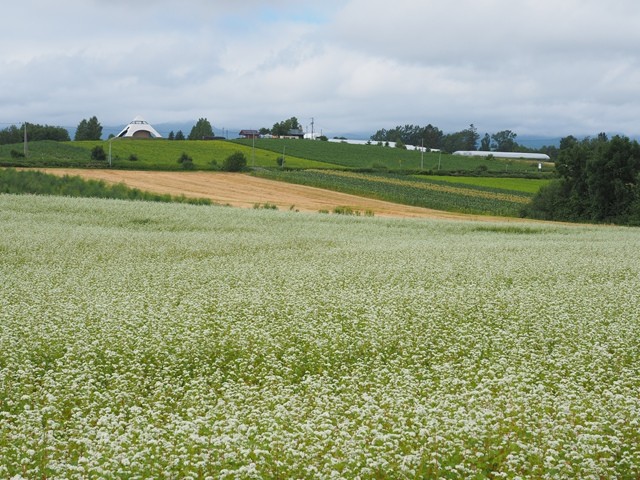 P8100872_R