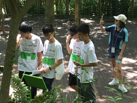 39077378_550271158726681_3397744384437911552_n