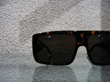 RIMG0011