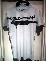 HVANA