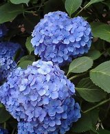 200606140733