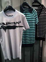 HVANA2