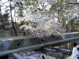 RIMG0095