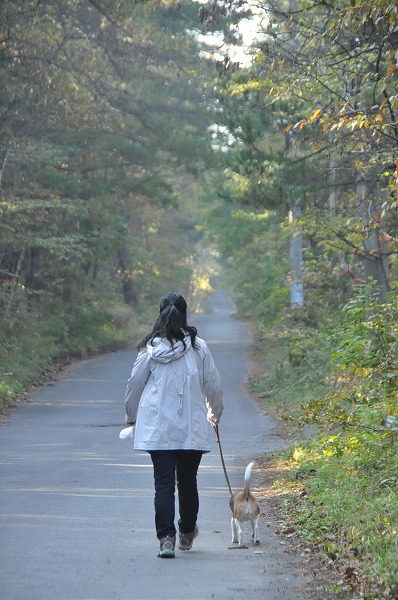 s-DSC_0206