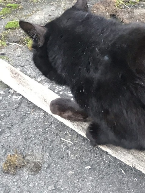 no title