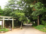 ����ʽ�˼��ڤ������Ƥ��롪
