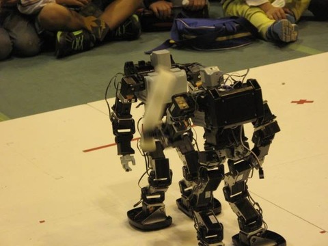 1002677_1477264535886569_7690912593089049215_n