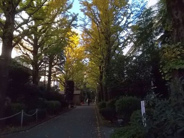 181024±¡Æâ¤Î¿¹