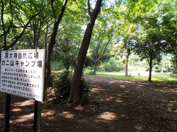 170711Ä´ÉÛ¡¦¥«¥Ë»³¥¥ã¥ó¥×¾ì