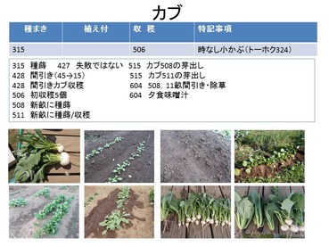 ギャザリング(カブ)170604