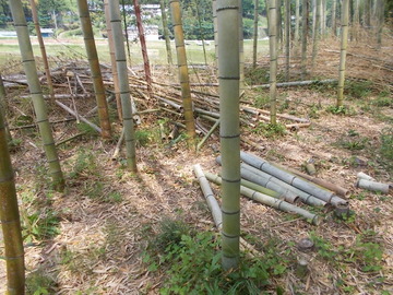 170512ȲºÎÃݤòºÆÍøÍÑ