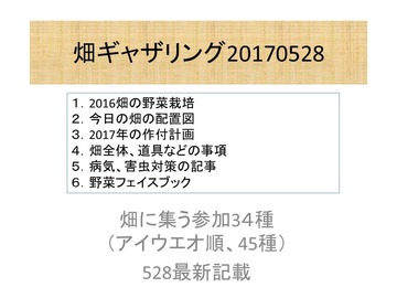 ギャザリング170528