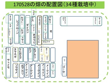畑配置170528