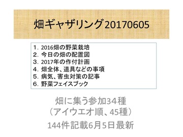 ギャザリング170604