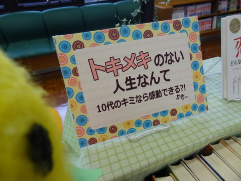 DSC09523