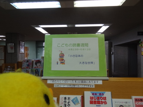 DSC03010