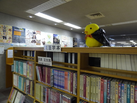 DSC04879
