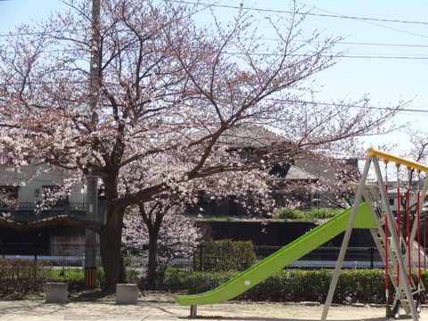 DSC08217