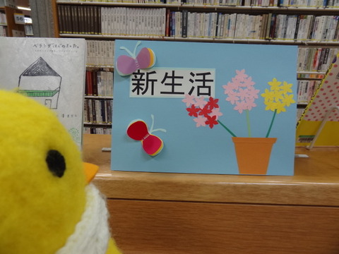 DSC03008